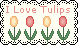 I Love Tulips